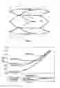 Fig. 07 - Vascular filter