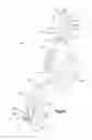 Fig. 07 - Orthopedic implant system