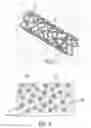 Fig. 02 - Bioerodible Endoprosthesis