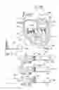 Fig. 02 - Method of reshaping a ventricle