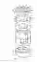 Fig. 04 - Vertebral implant end cap