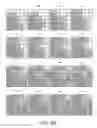 Fig. 07 - System and method for multi-resolution routing