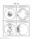 Fig. 25 - Particle distribution analysis method for computer readable storage medium for storing program for executing the method