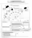 Fig. 01 - SYSTEM AND METHOD FOR MAXIMIZING VALUE THROUGH COLLABORATION AND POOLING OF BUYERS, SELLERS AND PARTIES WITH COMMON INTERESTS