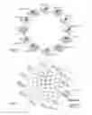 Fig. 07 - Priority replication