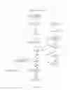 Fig. 06 - Security erase of a delete file and of sectors not currently assigned to a file