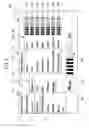 Fig. 07 - Display apparatus