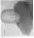 Fig. 22 - Sleepy heads neck pillow