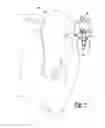 Fig. 02 - ONE-PIECE EAR TAG