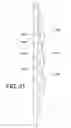 Fig. 14 - Insulating siding system