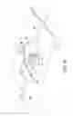 Fig. 02 - Disposable isolator comprising means for filling containers