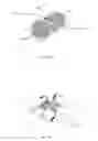 Fig. 07 - Method of packaging and dispensing nasal devices