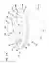 Fig. 22 - Air cleaner arrangements; components; and, methods