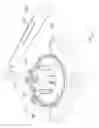 Fig. 02 - Electronic torque wrench calibration device and using method thereof