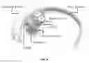 Fig. 10 - Variable stiffness leg structure for multipede running robots