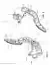 Fig. 02 - Accelerator Pedal for a Vehicle