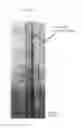 Fig. 10 - Method for refining texture of ferrous material, and ferrous material and blade having microscopic texture