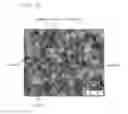 Fig. 13 - Method for refining texture of ferrous material, and ferrous material and blade having microscopic texture