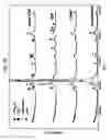 Fig. 40 - Method for refining texture of ferrous material, and ferrous material and blade having microscopic texture