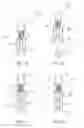 Fig. 03 - Sock identification kit