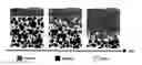 Fig. 01 - Enzyme-based self-polishing coating compositions