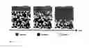 Fig. 02 - Enzyme-based self-polishing coating compositions