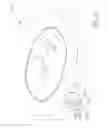 Fig. 20 - Rotary machine with roller controlled vanes