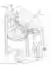 Fig. 01 - METHOD FOR OPERATING AN INTERNAL COMBUSTION ENGINE HAVING SPARK IGNITION