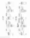 Fig. 08 - Spark ignition type internal combustion engine