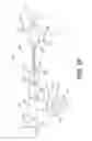 Fig. 16 - CRICOID MANIPULATING APPARATUS FOR ANESTHESIA ASSISTANCE AND TRACHEAL INTUBATION