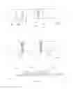 Fig. 07 - Banded papers, smoking articles and methods