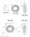 Fig. 18 - Multi-ribbed dental tape
