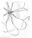 Fig. 16 - UMBRELLA, UMBRELLA FRAME AND RIB THEREFOR