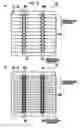 Fig. 11 - Solar cell and solar cell module