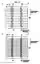 Fig. 13 - Solar cell and solar cell module