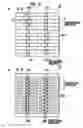 Fig. 15 - Solar cell and solar cell module