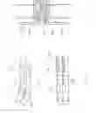 Fig. 09 - Photovoltaic System and Wind Deflector Structure