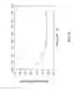 Fig. 08 - PHOTOVOLTAIC DEVICES WITH AN INTERFACIAL BAND-GAP MODIFYING STRUCTURE AND METHODS FOR FORMING THE SAME