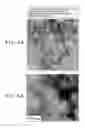 Fig. 06 - DYE-SENSITIZED SOLAR CELL AND PROCESS FOR PRODUCTION THEREOF