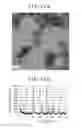 Fig. 12 - DYE-SENSITIZED SOLAR CELL AND PROCESS FOR PRODUCTION THEREOF