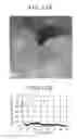 Fig. 13 - DYE-SENSITIZED SOLAR CELL AND PROCESS FOR PRODUCTION THEREOF
