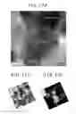 Fig. 17 - DYE-SENSITIZED SOLAR CELL AND PROCESS FOR PRODUCTION THEREOF
