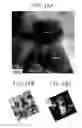 Fig. 18 - DYE-SENSITIZED SOLAR CELL AND PROCESS FOR PRODUCTION THEREOF
