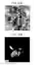 Fig. 19 - DYE-SENSITIZED SOLAR CELL AND PROCESS FOR PRODUCTION THEREOF