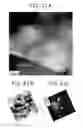 Fig. 21 - DYE-SENSITIZED SOLAR CELL AND PROCESS FOR PRODUCTION THEREOF