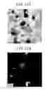 Fig. 22 - DYE-SENSITIZED SOLAR CELL AND PROCESS FOR PRODUCTION THEREOF