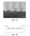Fig. 13 - Nanoscale High-Aspect-Ratio Metallic Structure and Method of Manufacturing Same