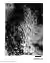Fig. 01 - Maraging steel strip