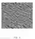 Fig. 04 - METHOD FOR TRANSFER PRINTING NANOWIRES