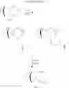 Fig. 14 - Sacrificial polymer compositions including polycarbonates having repeat units derived from stereospecific polycyclic 2,3-diol monomers